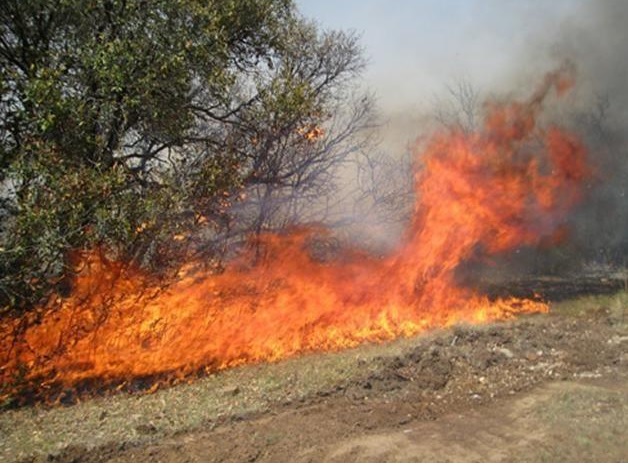 Una Carta Bipartidista Sobre El Humo De Los Incendios Forestales En