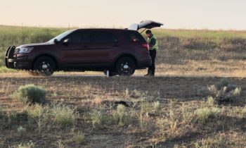 Hombre muere después de accidente automovilístico