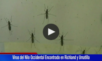 Virus del Nilo Occidental Encontrado en Richland y Umatilla WA.