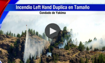 Incendio Left Hand Duplica En Tamaño