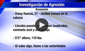 Investigación de Agresión