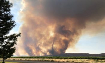 Incendio Powerline consume más de 5,000 acres