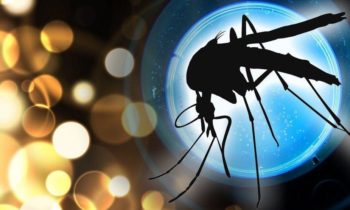 Los mosquitos en West Richland dan positivo para el virus del Nilo Occidental