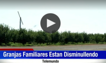 Granjas Familiares Están Disminullendo