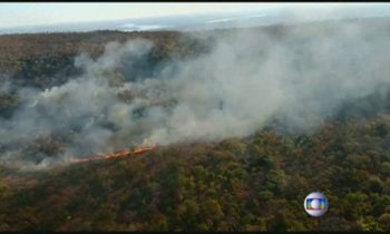 Los incendios forestales de las selvas Amazonas arden a velocidades récord