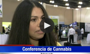 Conferencia de Cannabis