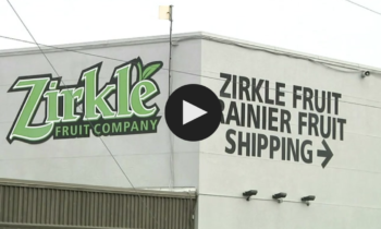 Zirkle Fruit Cortará Empleados