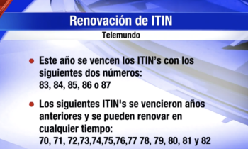 Renovación De Itin