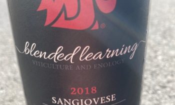 Estudiante de WSU Tri-Cities gana premio por crear su propio vino