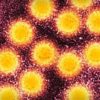 Aumentan casos de hepatitis A en el Condado de Yakima