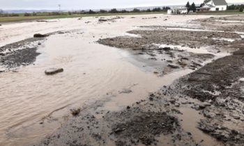 Dueños de granja esperan por ayuda sin entrada a su propiedad