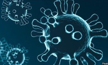 CDC: Es probable que ocurra la propagación del coronavirus en los Estados Unidos