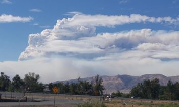 FEMA Autorizó Fondos Federales para Combatir el Incendio de Schneider Springs