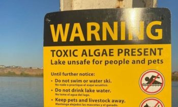 Cierran partes del Río Columbia de nuevo debido a las algas tóxicas