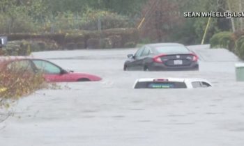 Miles todavía no tienen electricidad tras paso de tormenta en Washington
