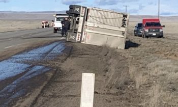 Un accidente en la SR 221 mata a dos vacas