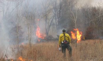 El clima más frío retrasa la temporada de incendios, pero se espera actividad severa en el verano