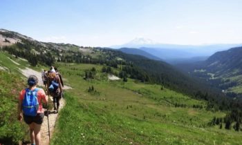 Wild Grief usa la naturaleza para ayudar a las personas a vivir con la perdida de ser queridos