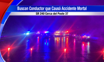 <strong>La policía busca conductor quien causó un accidente mortal</strong>