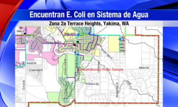 Encuentran bacteria en el sistema de agua de Terrace Heights en condado de Yakima