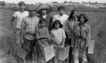 Exposición de fotografías históricas de trabajadores agrícolas del Valle de Yakima en WSU