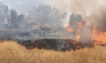 West Valley Fire and Rescue responde a incendio de matorrales propagado por el viento