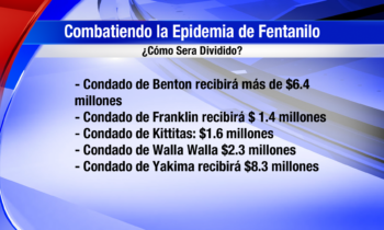 Repartirán 60 millones de dólares para luchar contra la epidemia de opiáceos