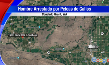 Un hombre es arrestado en el condado Grant tras pelea de gallos