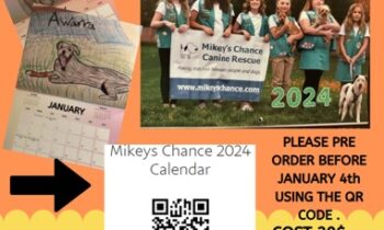 Las chicas Scouts de Kennewick se asocian con Mikey’s Chance