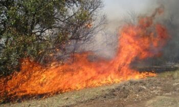 Una carta bipartidista sobre el humo de los incendios forestales en Occidente insta a realizar más quemas prescritas