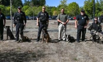 El condado de Yakima obtiene un nuevo K9 con certificación de fentanilo