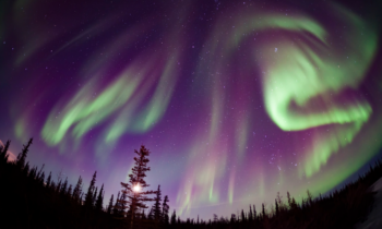 La aurora boreal brillará sobre Estados Unidos el viernes por la noche. Dónde puede obtener las mejores vistas en Central WA