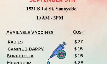 La Sociedad Protectora de Animales de Yakima organizará una clínica de vacunación para perros el 9 de septiembre en Sunnyside