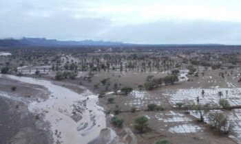 Inundaciones dejan al menos 20 muertos en Marruecos y Argelia