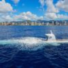 Tragedia a bordo de un submarino turístico deja al menos cuatro muertos en Egipto