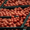 A partir de esta fecha EEUU impondrá un arancel del 20.91% a tomates de México