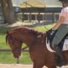 Temecula espera albergar eventos ecuestres para los Juegos Olímpicos de Los Ángeles