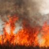 La Semana de Preparación para el Humo comienza el 9 de junio mientras Washington se prepara para la temporada de incendios forestales