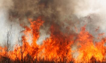 La Semana de Preparación para el Humo comienza el 9 de junio mientras Washington se prepara para la temporada de incendios forestales