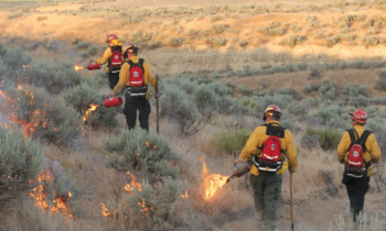 Un incendio quema 14 acres en Yakima y provoca evacuaciones de nivel 3