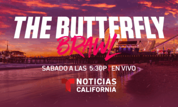 Telemundo 52 y NBC Los Ángeles transmitirán el Butterfly Brawl en Santa Mónica
