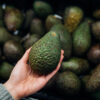 ¿Aguacate maduro? Supermercado prueba escáner que te dice si ya está listo para comer