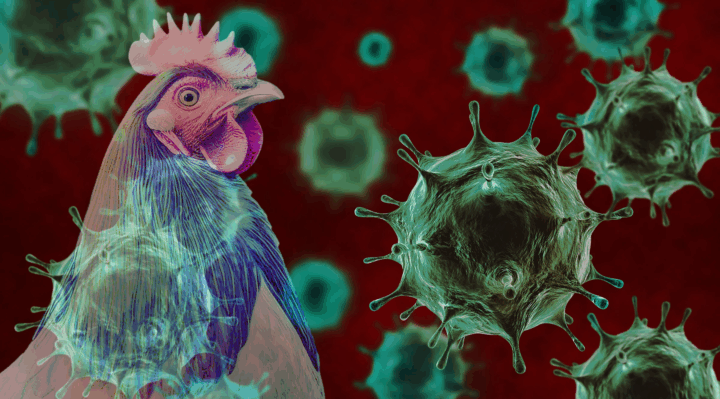 image | Yakima y Tri Cities | Noticias Locales Telemundo