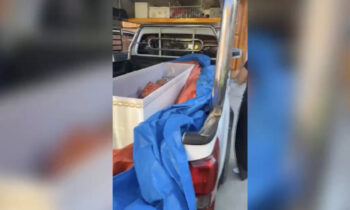 Viral: mujer empezó a moverse en el ataúd antes de ser incinerada