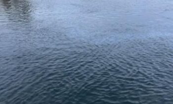 El derrame de petróleo de la presa Priest Rapids provoca una advertencia sobre el río Columbia