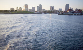 Avanza propuesta de taxi acuático para LA28 entre San Pedro y Long Beach