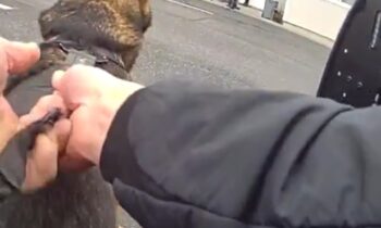 Un joven de 16 años armado fue arrestado tras un altercado y amenazas con cuchillo en la escuela secundaria Southridge en Kennewick