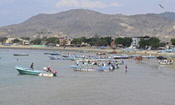 Cinco cabezas colgadas y un mensaje de advertencia: sangriento hallazgo en una playa turística
