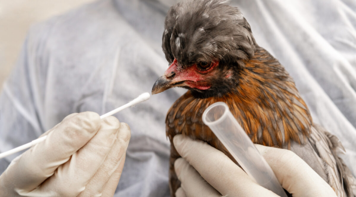 image | Yakima y Tri Cities | Noticias Locales Telemundo