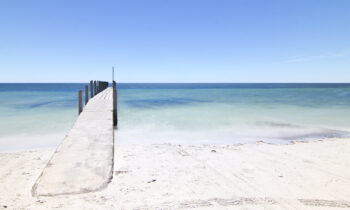 Aggregator Downloaded image for imported item 111433 | Yakima y Tri Cities | Noticias Locales Telemundo